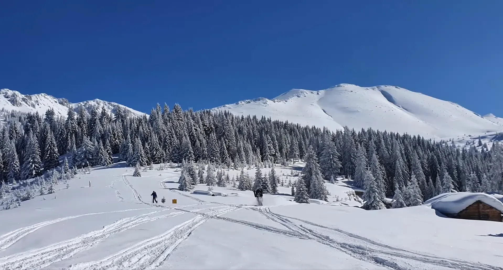 Štedim u zimskom ruhu